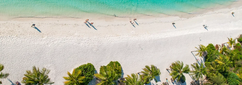 Aerial view of pristine tropical beach.
