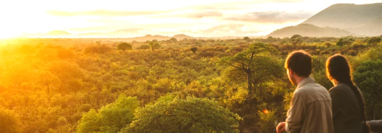 Ruaha National Park golden sunset