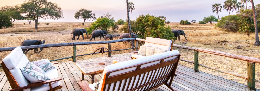 View of wild elephants walking across the open savanna from a comfortable wooden terrace lounge at Hola Africa.
